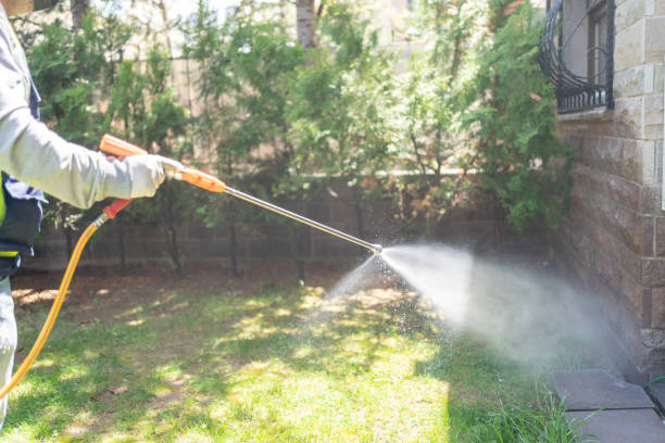 Best Flea Control Services  in Riverside, UT