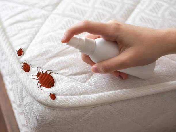 Best Best Pest Control Companies  in Riverside, UT