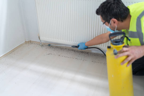 Best Bed Bug Extermination  in Riverside, UT